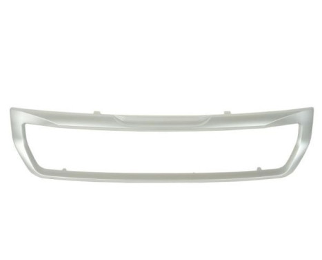 Decorative / Protection panel, radiator grille