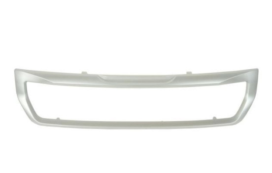 Decorative / Protection panel, radiator grille