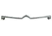Decorative / Protection panel, radiator grille