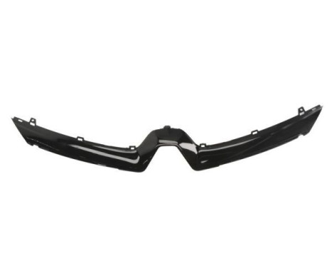 Decorative / Protection panel, radiator grille