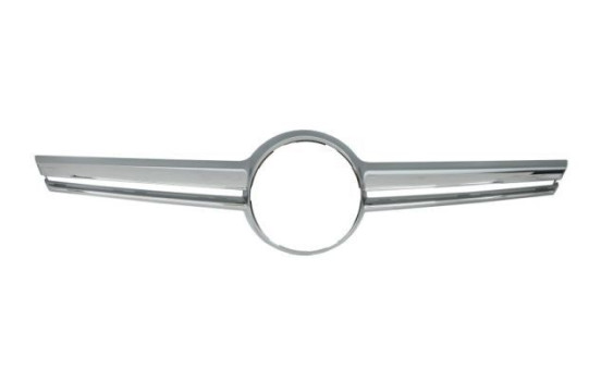 Decorative / Protection panel, radiator grille