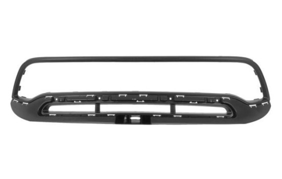 Decorative / Protection panel, radiator grille