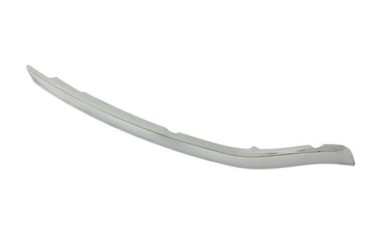 Decorative / Protection panel, radiator grille