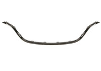 Decorative / Protection panel, radiator grille