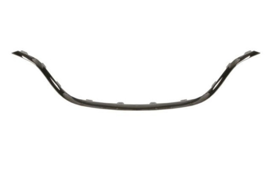 Decorative / Protection panel, radiator grille