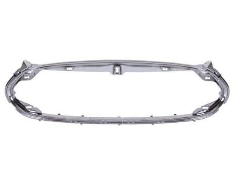 Decorative / Protection panel, radiator grille