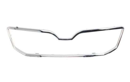 Decorative / Protection panel, radiator grille