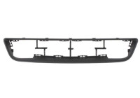 Decorative / Protection panel, radiator grille