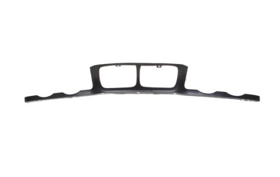 Decorative / Protection panel, radiator grille