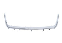 Decorative / Protection panel, radiator grille