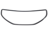 Decorative / Protection panel, radiator grille