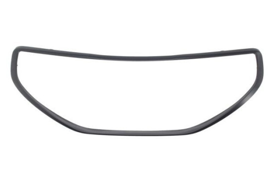 Decorative / Protection panel, radiator grille