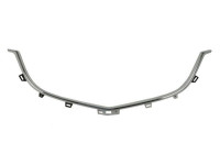 Decorative / Protection panel, radiator grille