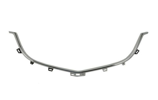 Decorative / Protection panel, radiator grille