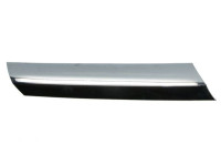 Decorative / Protection panel, radiator grille