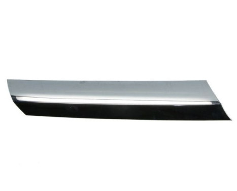 Decorative / Protection panel, radiator grille
