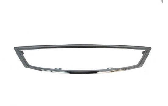 Decorative / Protection panel, radiator grille