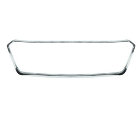 Decorative / Protection panel, radiator grille