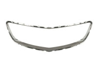 Decorative / Protection panel, radiator grille