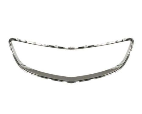 Decorative / Protection panel, radiator grille