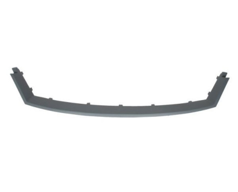 Decorative / Protection panel, radiator grille