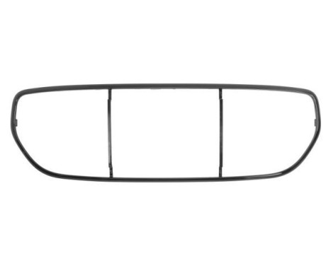 Decorative / Protection panel, radiator grille