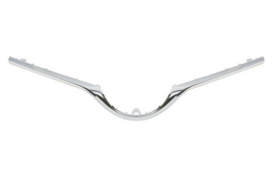 Decorative / Protection panel, radiator grille