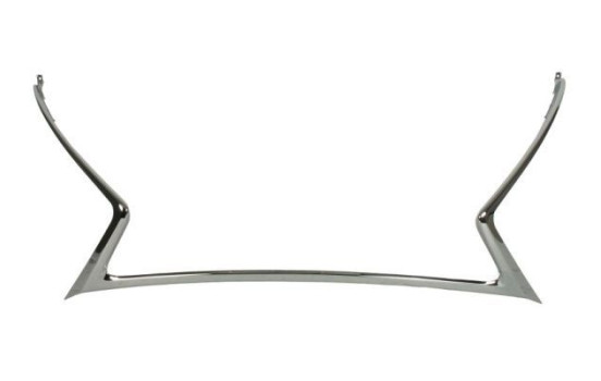 Decorative / Protection panel, radiator grille