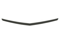 Decorative / Protection panel, radiator grille