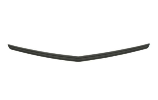 Decorative / Protection panel, radiator grille