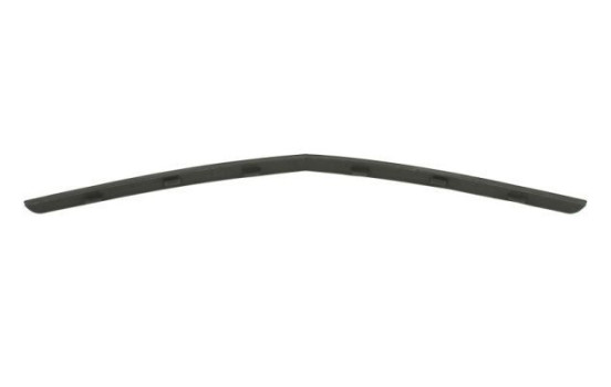 Decorative / Protection panel, radiator grille, Image 2