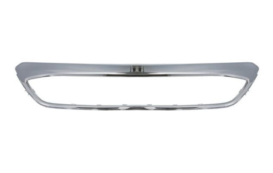 Decorative / Protection panel, radiator grille