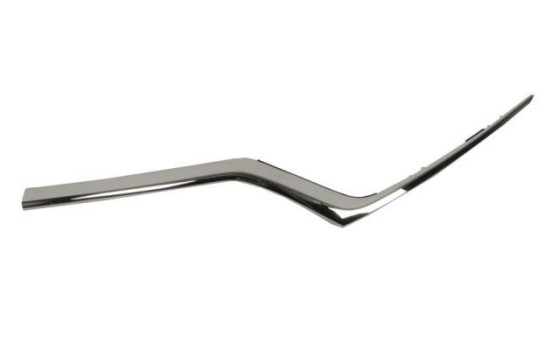 Decorative / Protection panel, radiator grille