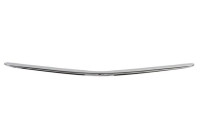 Decorative / Protection panel, radiator grille