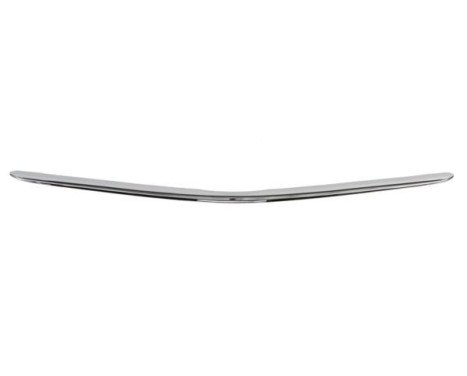 Decorative / Protection panel, radiator grille