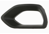 Decorative / Protection panel, radiator grille