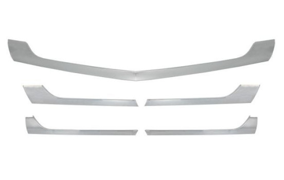 Decorative / Protection panel, radiator grille