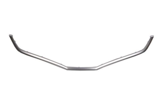 Decorative / Protection panel, radiator grille