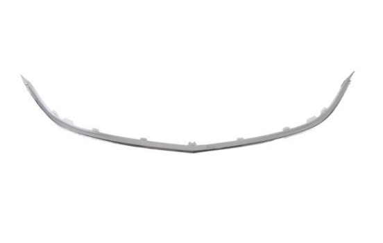 Decorative / Protection panel, radiator grille