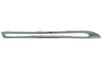 Decorative / Protection panel, radiator grille