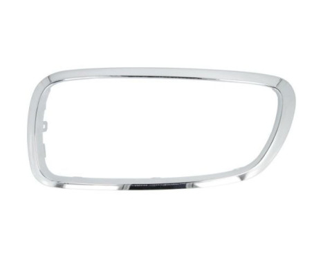 Decorative / Protection panel, radiator grille