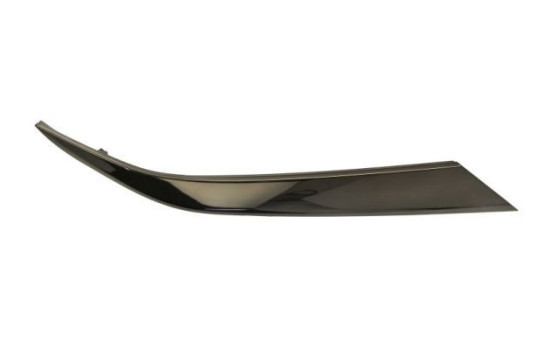 Decorative / Protection panel, radiator grille