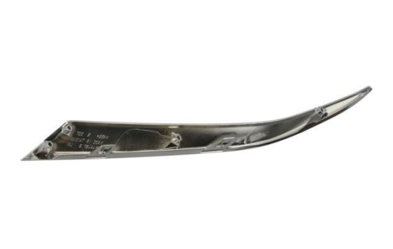Decorative / Protection panel, radiator grille, Image 2