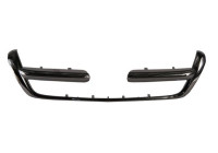 Decorative / Protection panel, radiator grille