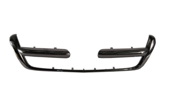 Decorative / Protection panel, radiator grille