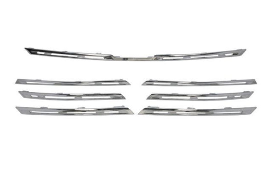 Decorative / Protection panel, radiator grille