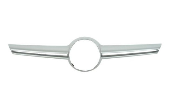 Decorative / Protection panel, radiator grille