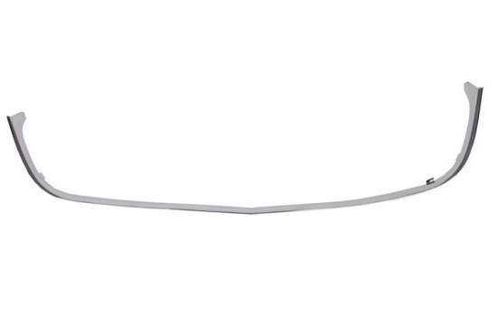 Decorative / Protection panel, radiator grille