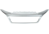 Decorative / Protection panel, radiator grille