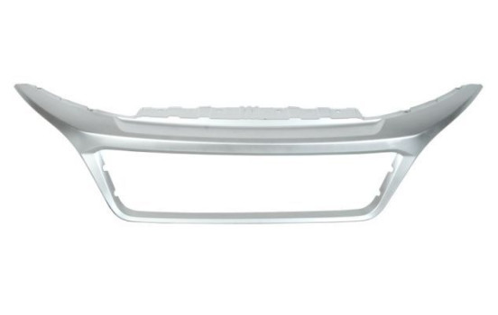 Decorative / Protection panel, radiator grille